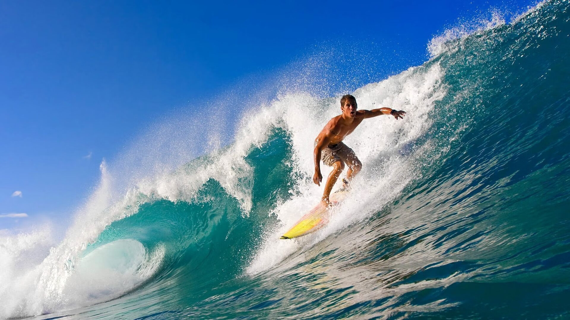 九游网页版入口-体育新闻中心启动体育新媒体人才培养计划，体育新闻媒体有哪些